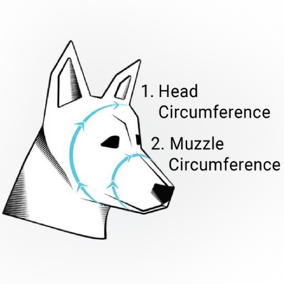 📏 Pet Measurement Guide 📏 - Picture 4 of 5